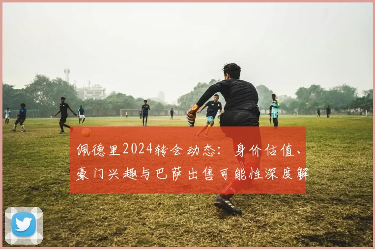 佩德里2024转会动态:身价估值、豪门兴趣与巴萨出售可能性深度解析