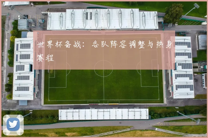 世界杯备战：各队阵容调整与热身赛程